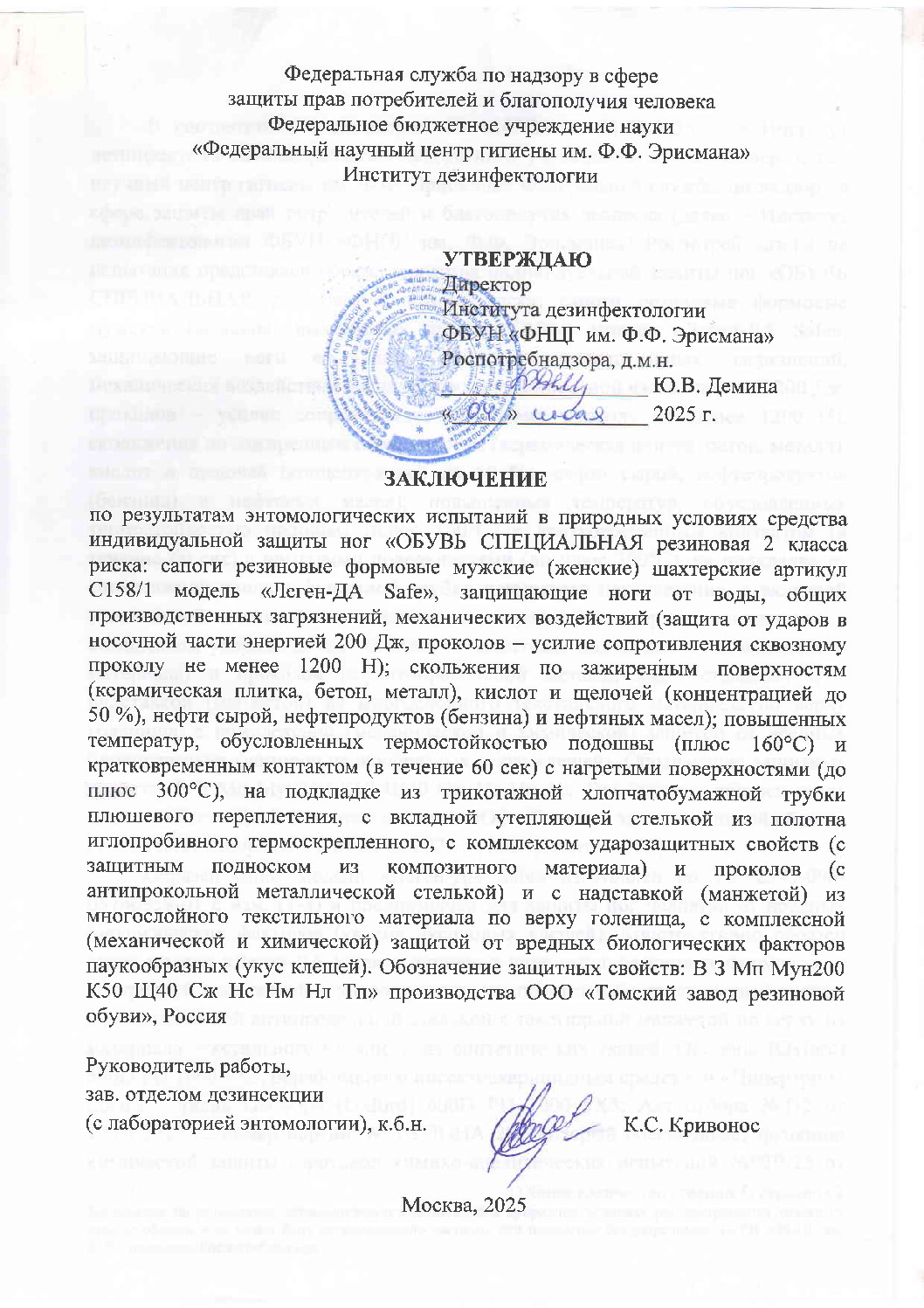 Заключение